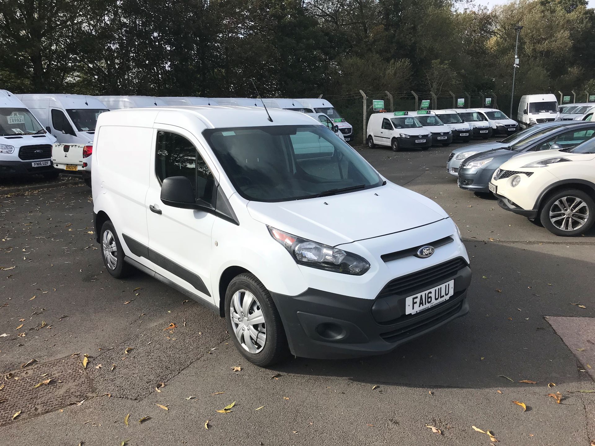 Small Ford Transit Connect Vans for Sale Van Monster