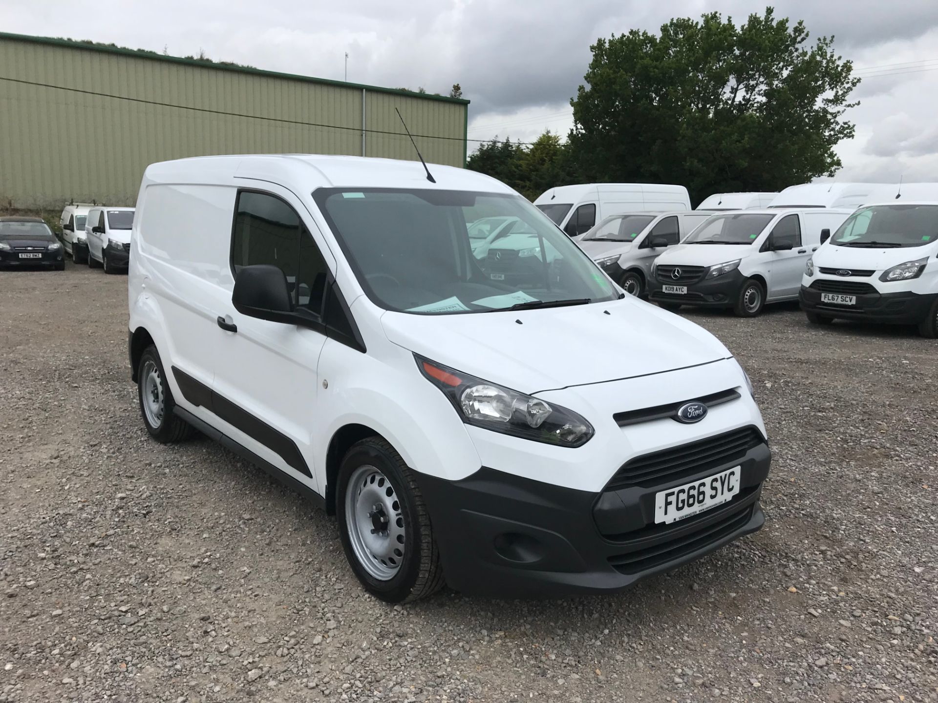 Small Ford Vans for Sale Colchester Van Monster