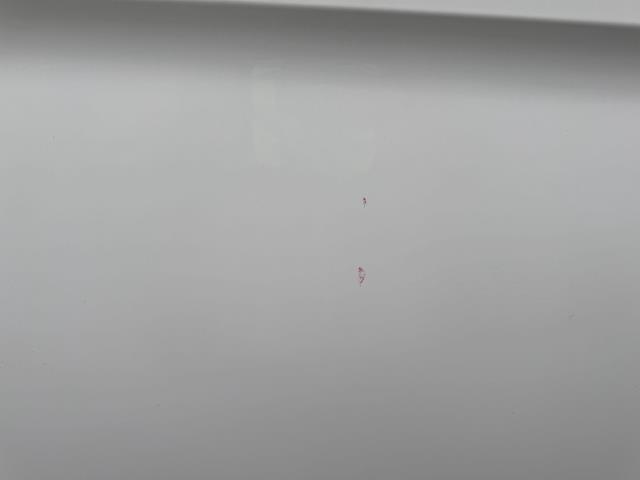 2022 Ford Transit Custom L2 2.0 Ecoblue 130Ps Low Roof Trend Van (FH22JXC) Image 71