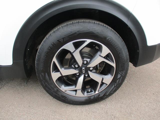2021 Kia Sportage 1.6T Gdi Isg 2 5Dr [Awd] (ML70MZD) Image 42