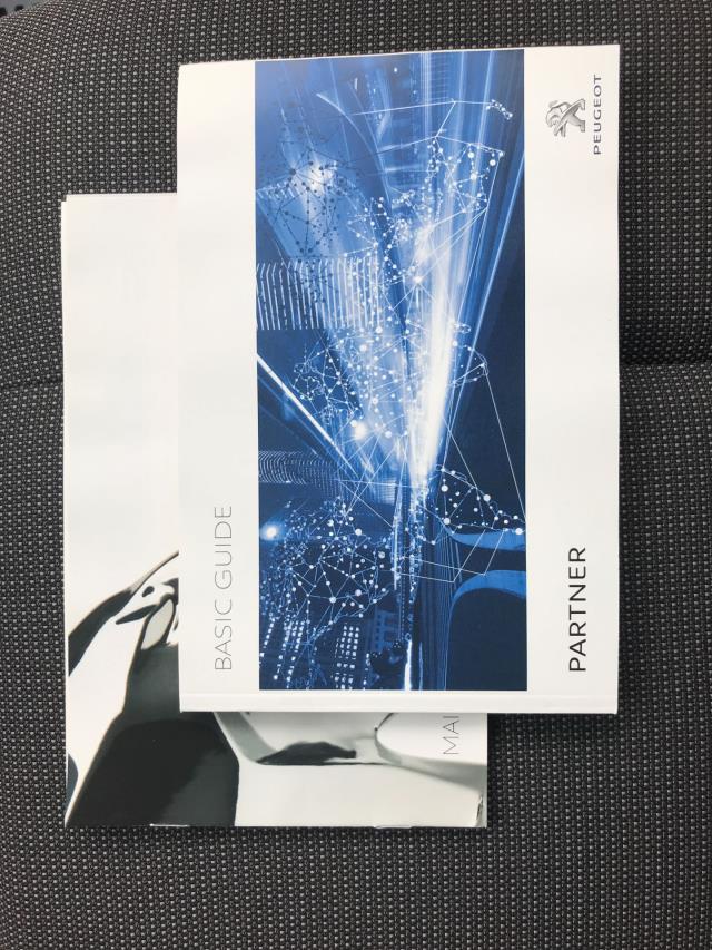 2019 Peugeot Partner 1000 1.5 BLUE HDI 100 PROFESSIONAL VAN EURO 6 (NU69FLW) Image 26