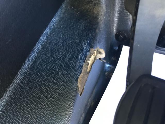 2020 Peugeot Expert 1000 1.5 Bluehdi 100 Professional Van (NV70EUX) Image 33