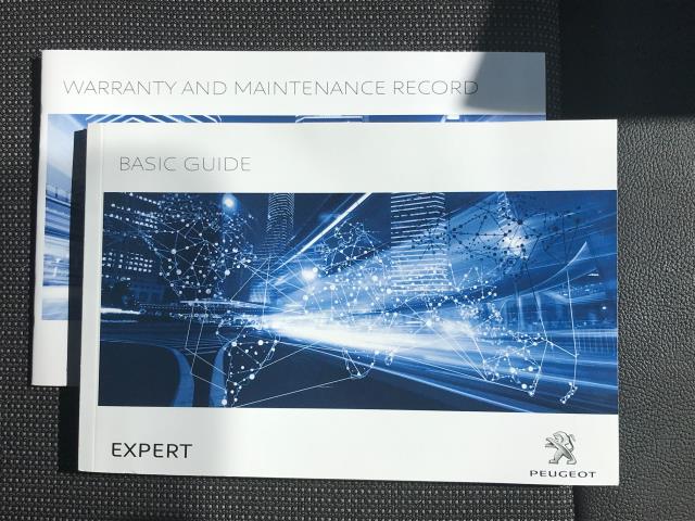 2019 Peugeot Expert 1000 1.6 BLUEHDI 95 PROFESSIONAL EURO 6 VAN (NX19ZBF) Image 28