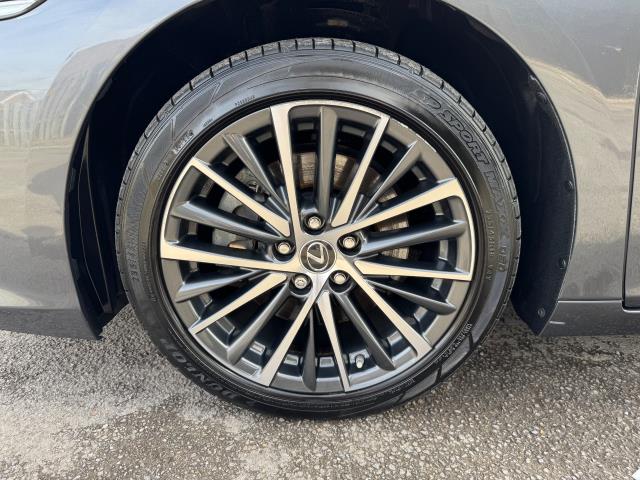 2023 Lexus Es 300H 2.5 4Dr Cvt Premium Edition (WM73OJO) Image 48