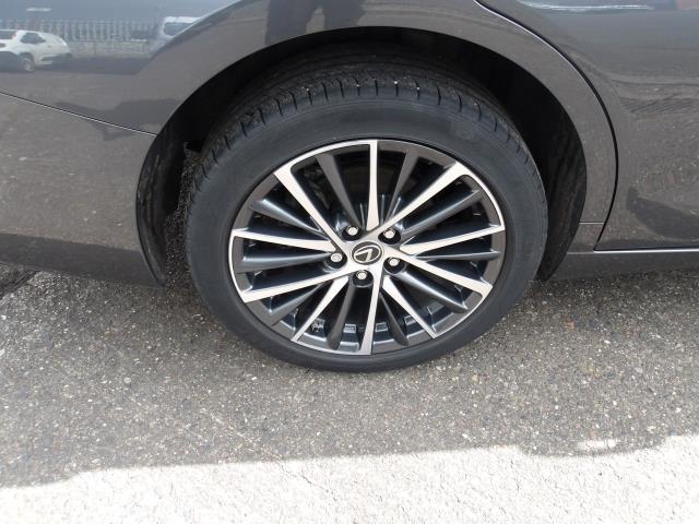 2023 Lexus Es 300H 2.5 4Dr Cvt Premium Edition (WM73OJS) Image 10