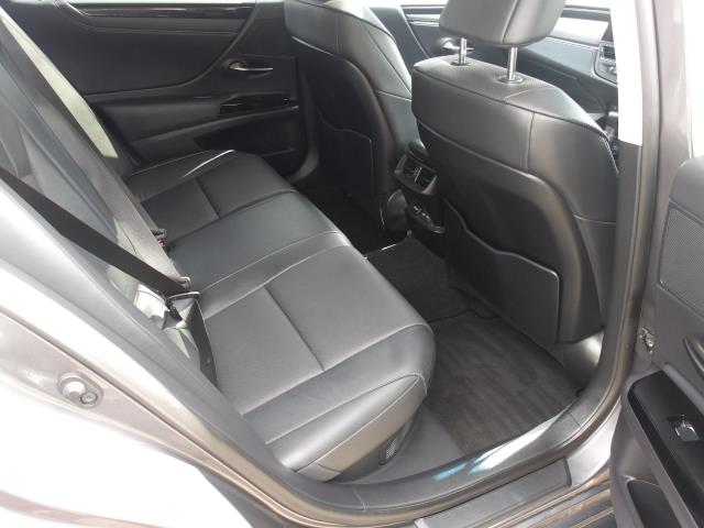 2023 Lexus Es 300H 2.5 4Dr Cvt Premium Edition (WM73OJS) Image 17